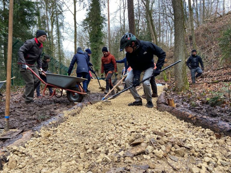 Read more about the article Trailbautag am Tiergartenzaun